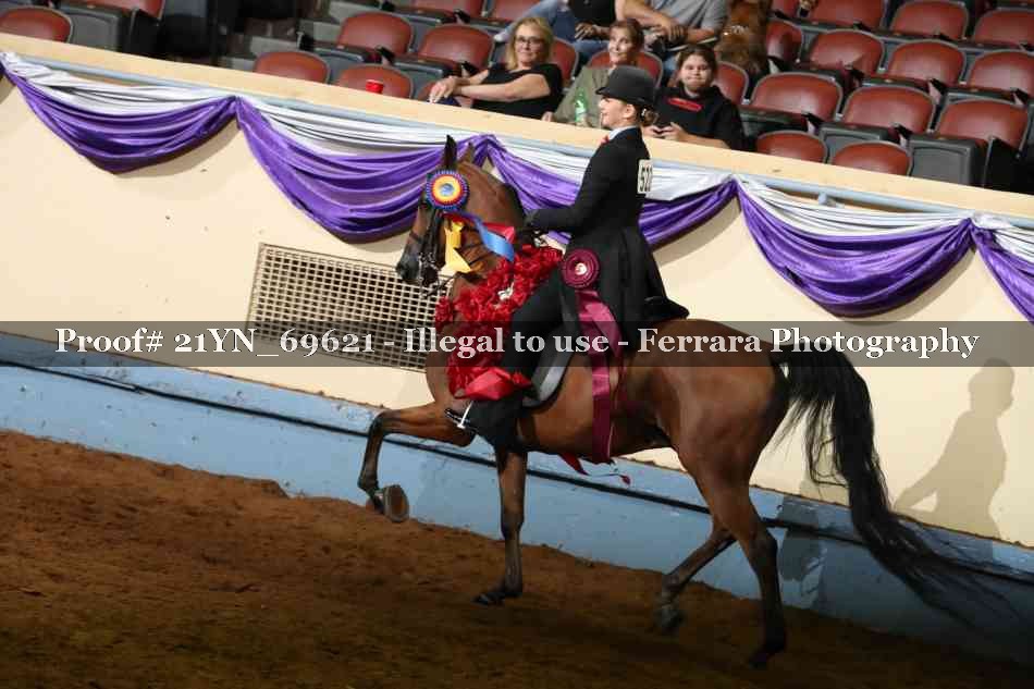 Proof 21YN_69621