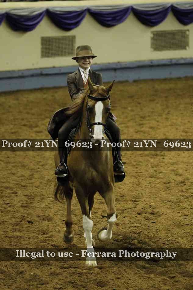 Proof 21YN_69623