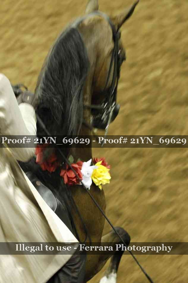 Proof 21YN_69629
