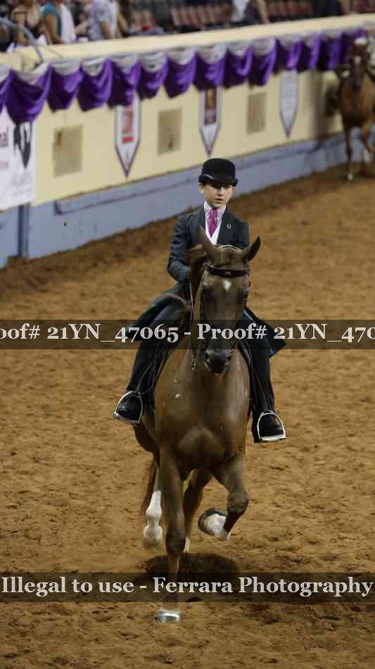 Proof 21YN_47065
