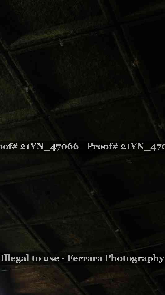 Proof 21YN_47066