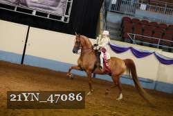 21YN_47086 proof