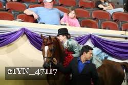 21YN_47117 proof