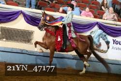 21YN_47177 proof
