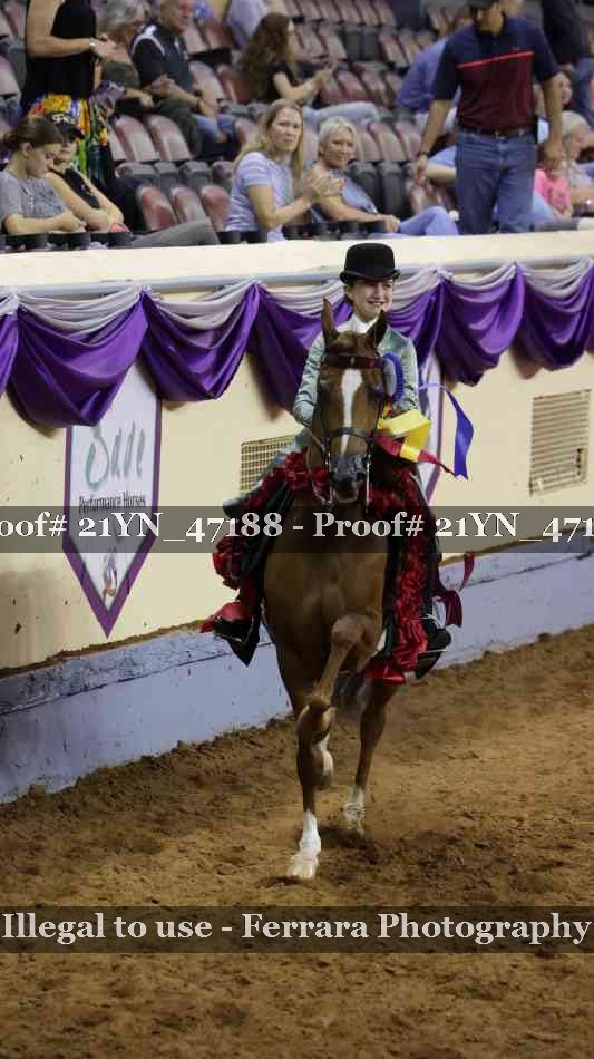 Proof 21YN_47188
