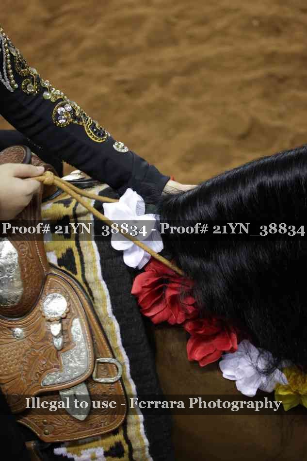 Proof 21YN_38834