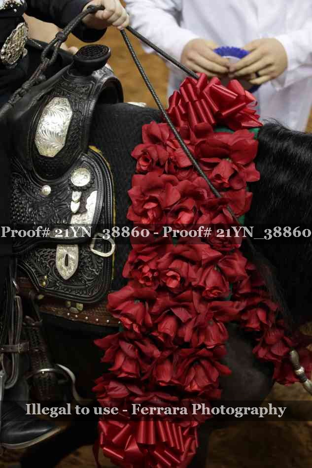 Proof 21YN_38860