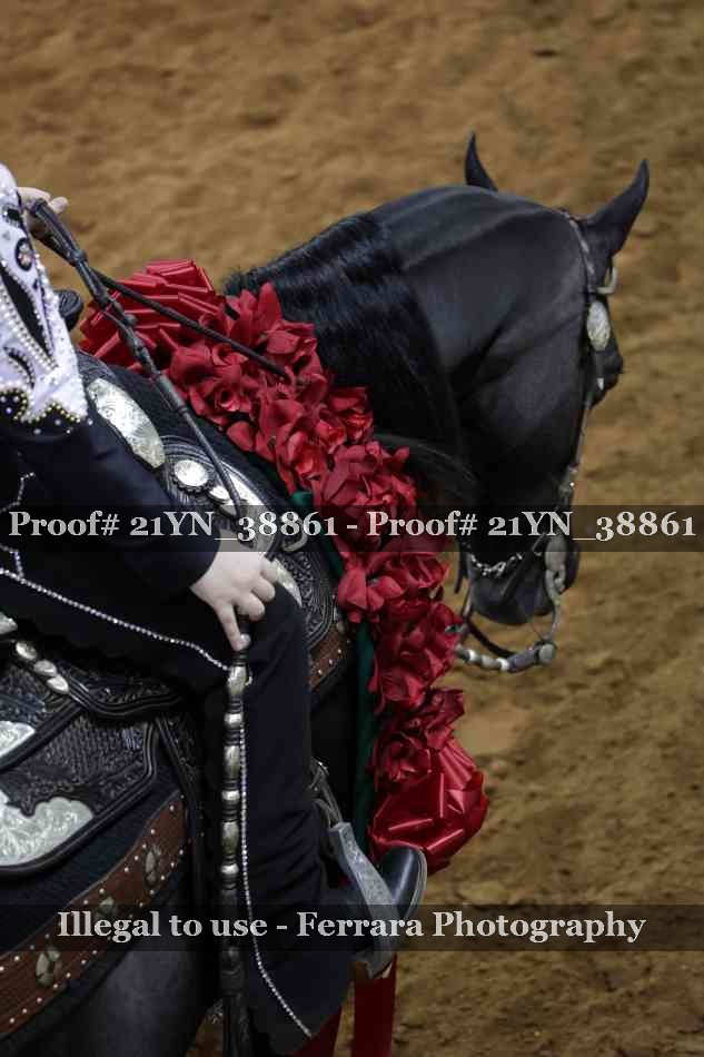 Proof 21YN_38861