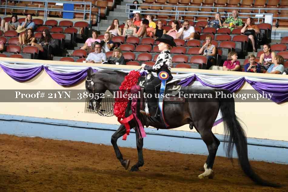 Proof 21YN_38952