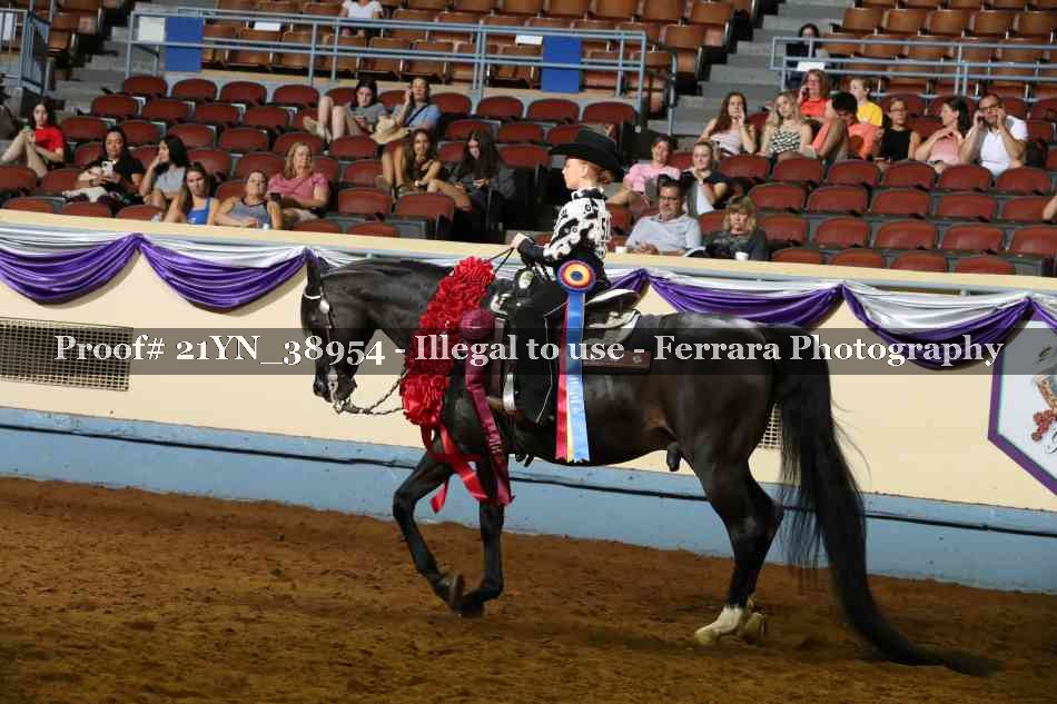 Proof 21YN_38954