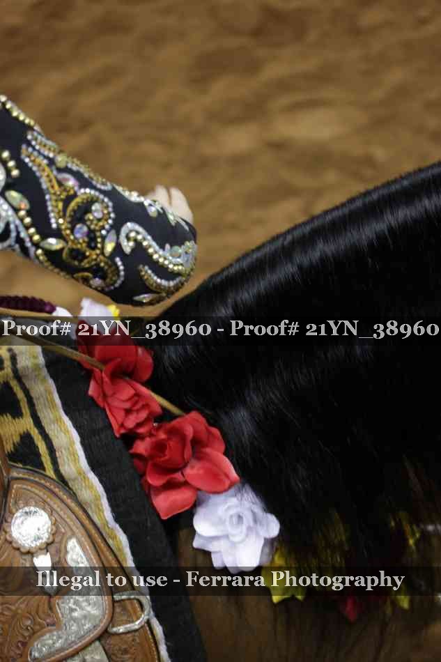 Proof 21YN_38960