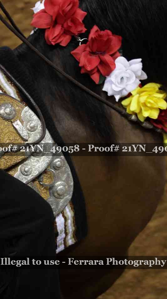 Proof 21YN_49058