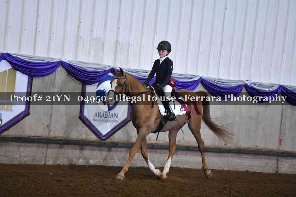 Proof 21YN_04950