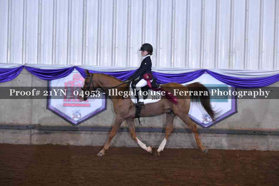 Proof 21YN_04953