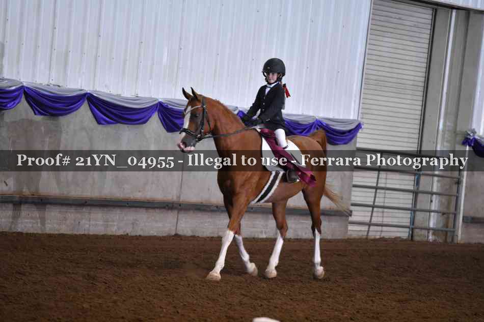 Proof 21YN_04955