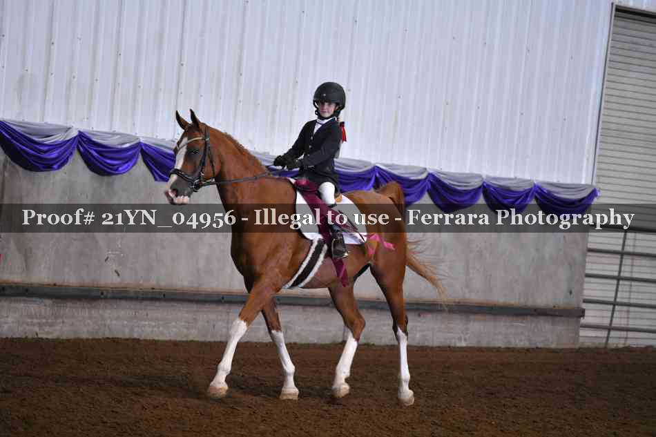 Proof 21YN_04956