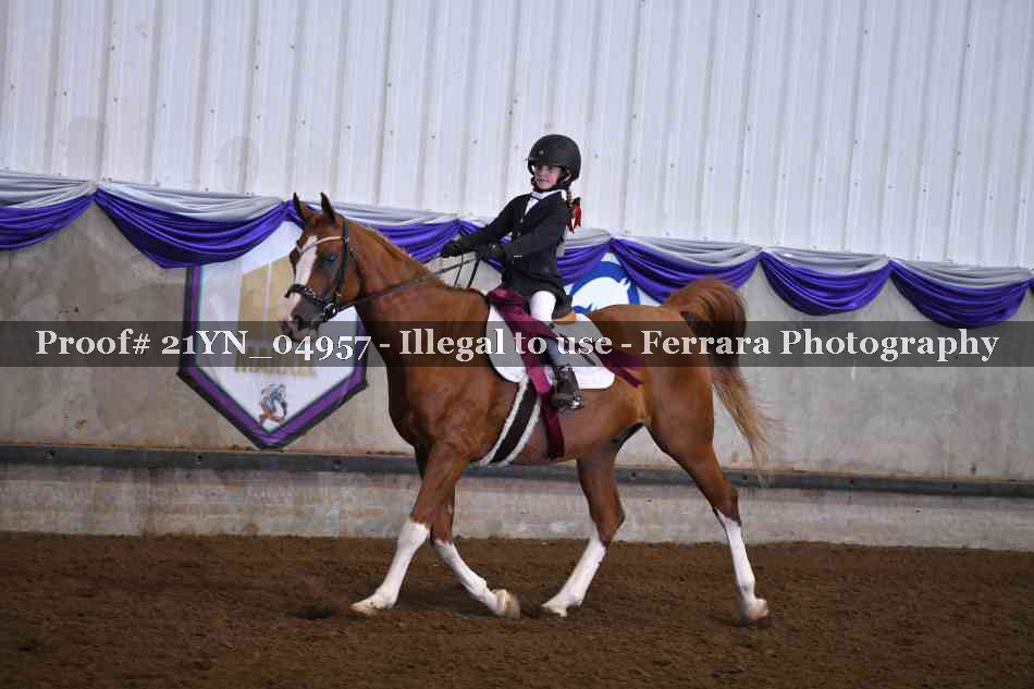 Proof 21YN_04957