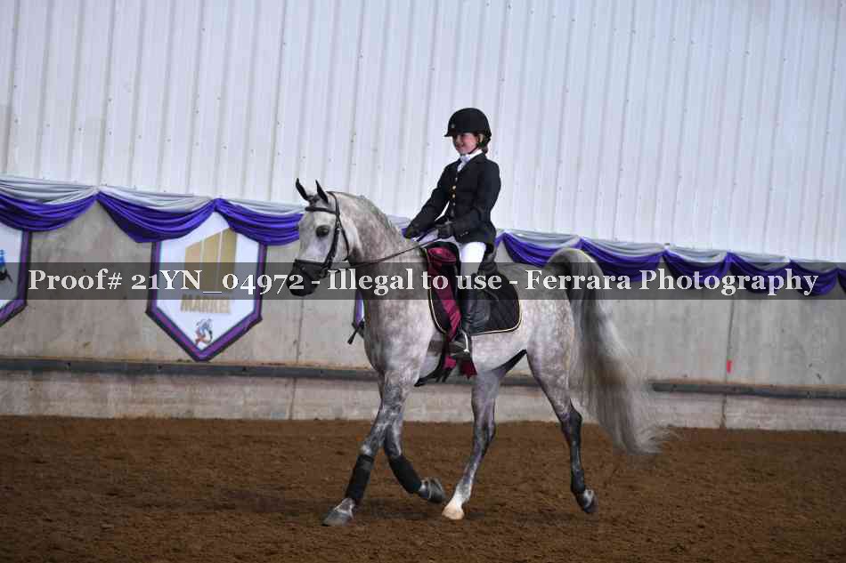 Proof 21YN_04972
