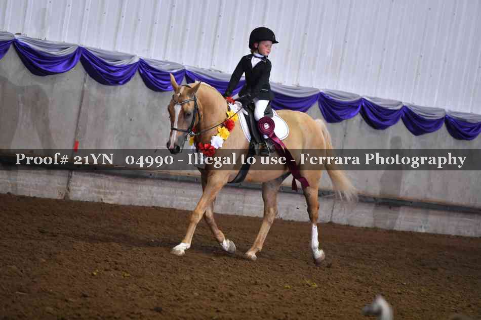 Proof 21YN_04990