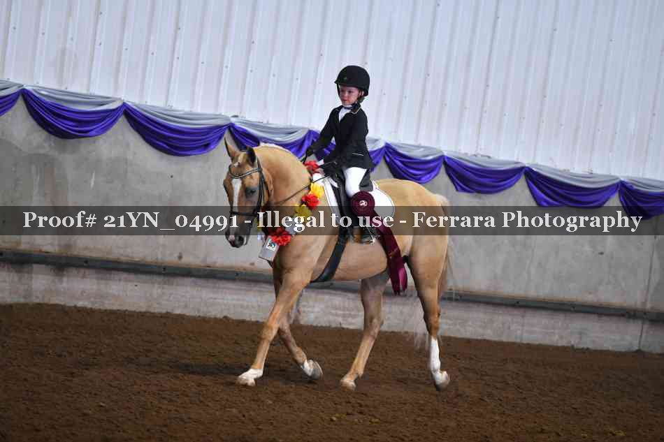 Proof 21YN_04991