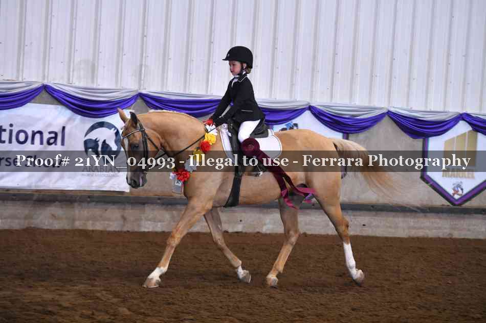 Proof 21YN_04993