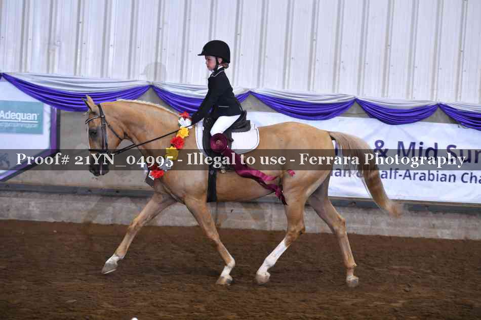 Proof 21YN_04995