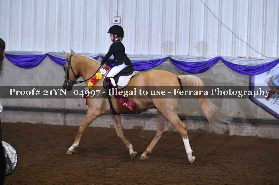 Proof 21YN_04997