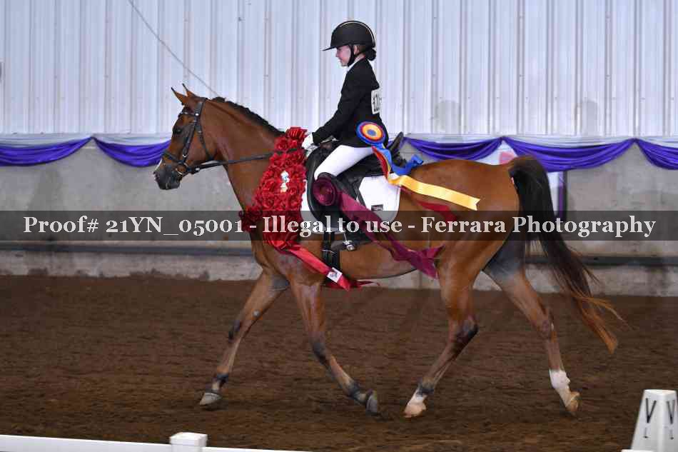 Proof 21YN_05001