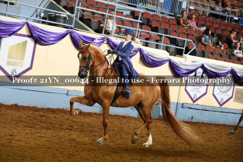 Proof 21YN_00644