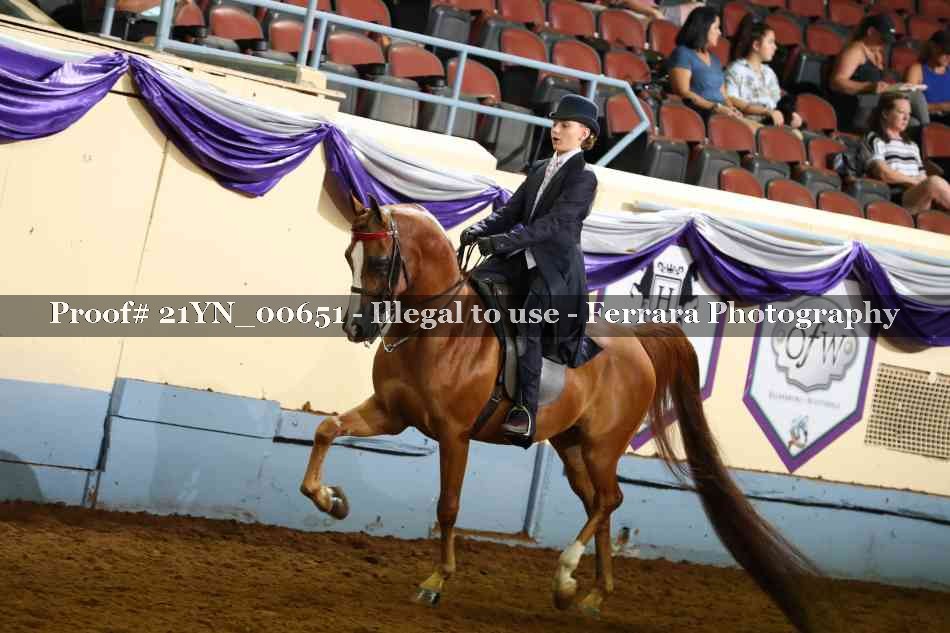 Proof 21YN_00651