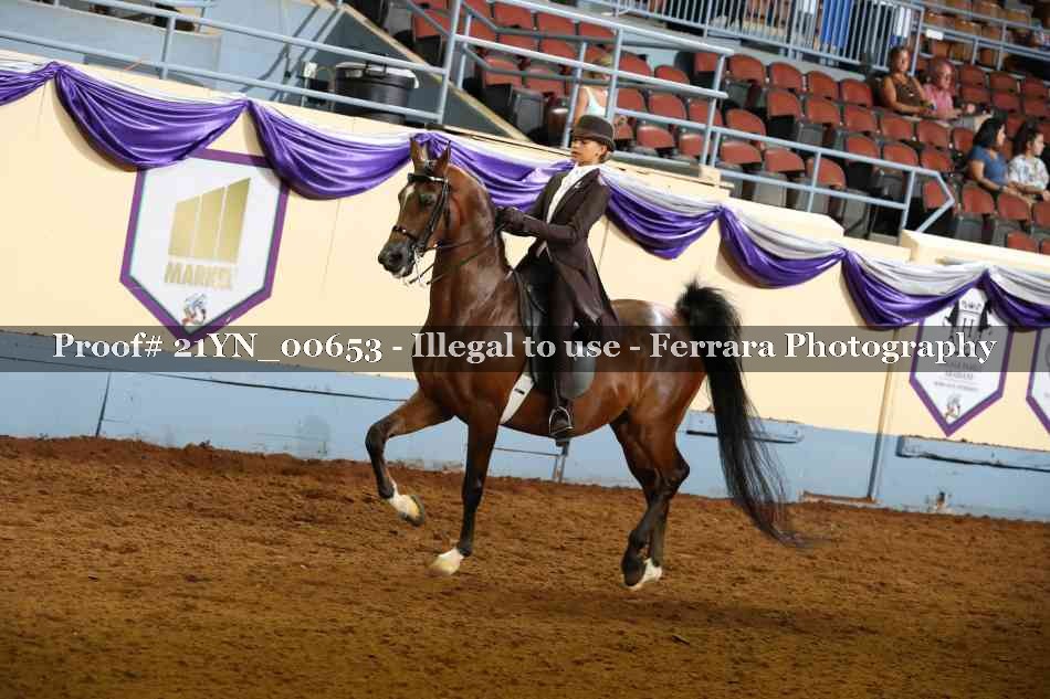Proof 21YN_00653