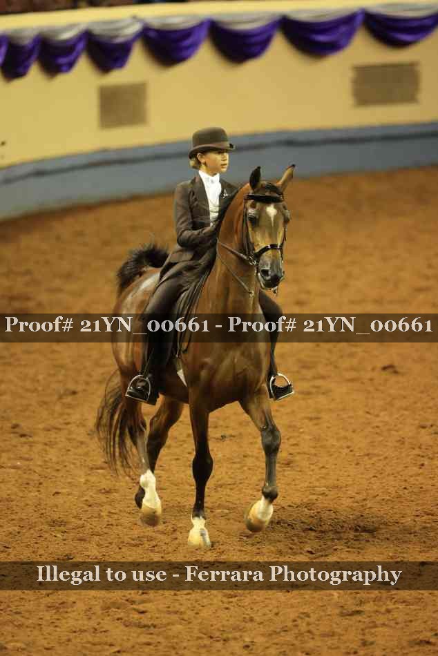 Proof 21YN_00661