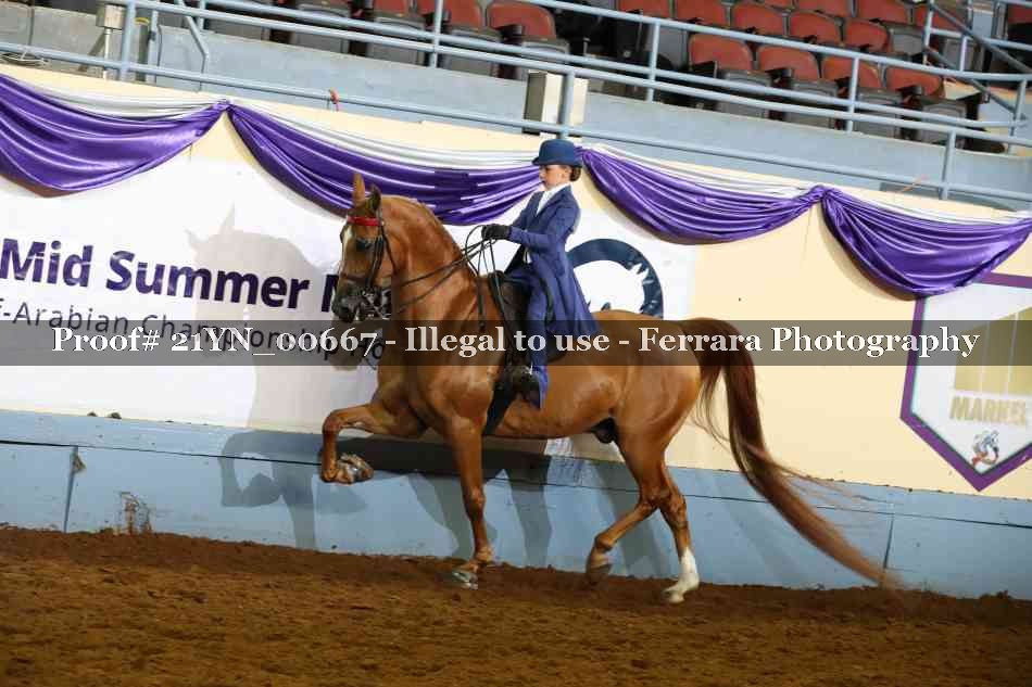 Proof 21YN_00667
