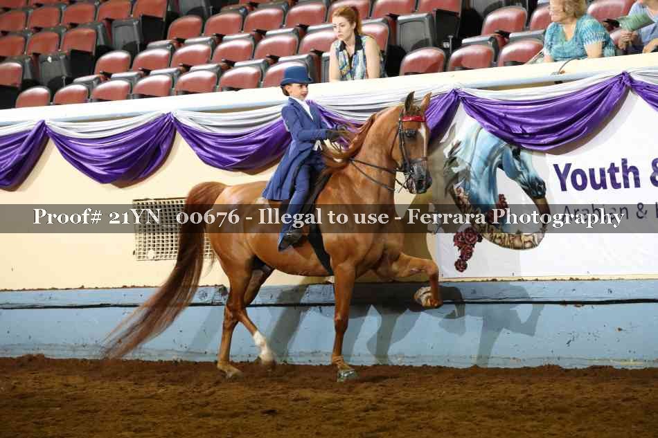 Proof 21YN_00676