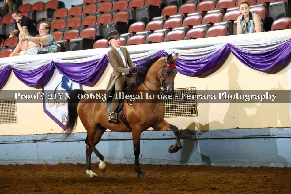 Proof 21YN_00683