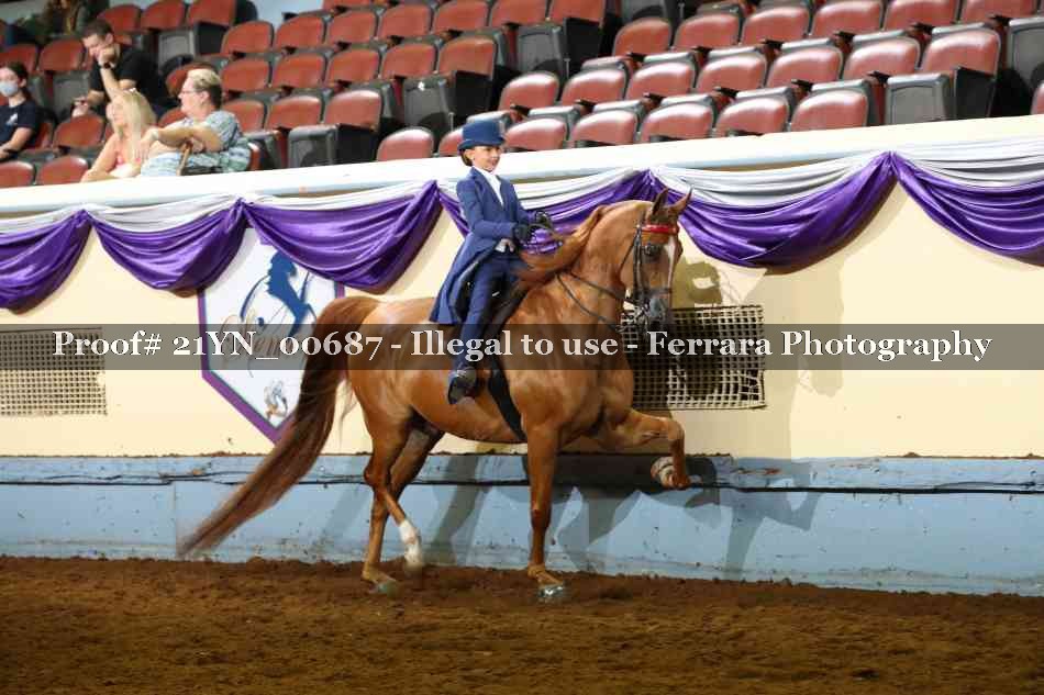 Proof 21YN_00687