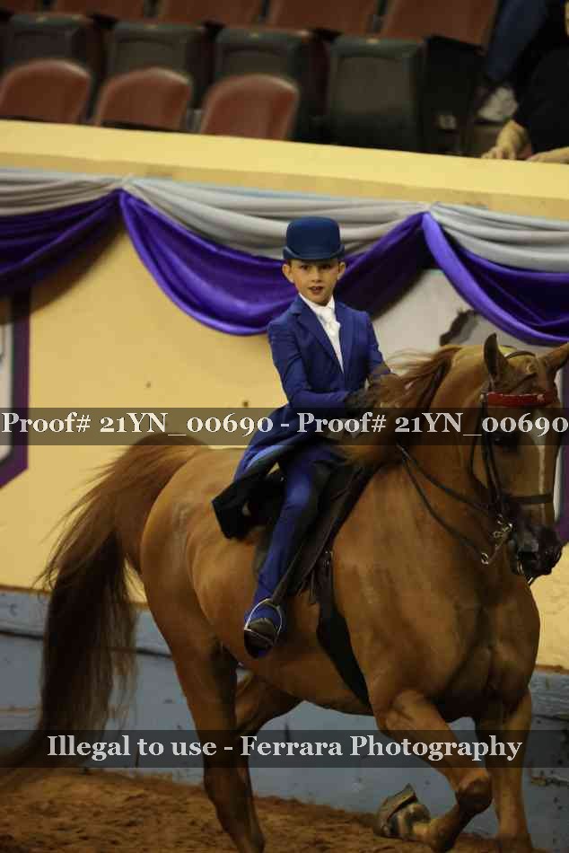 Proof 21YN_00690