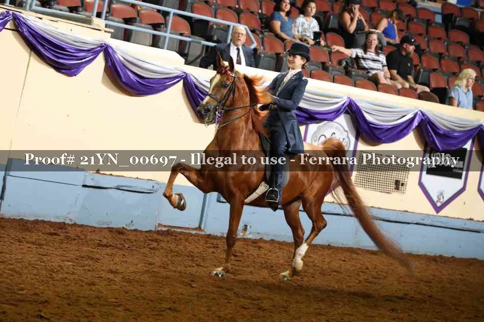 Proof 21YN_00697
