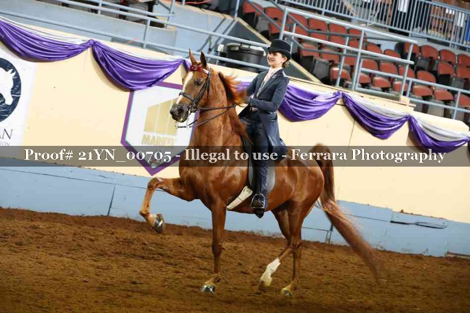 Proof 21YN_00705