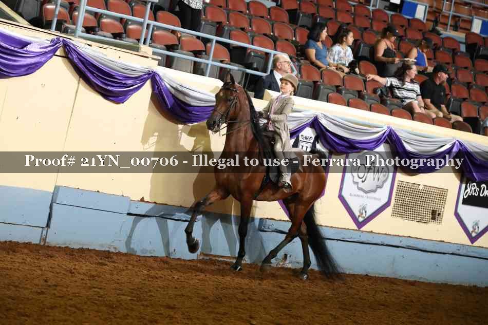 Proof 21YN_00706
