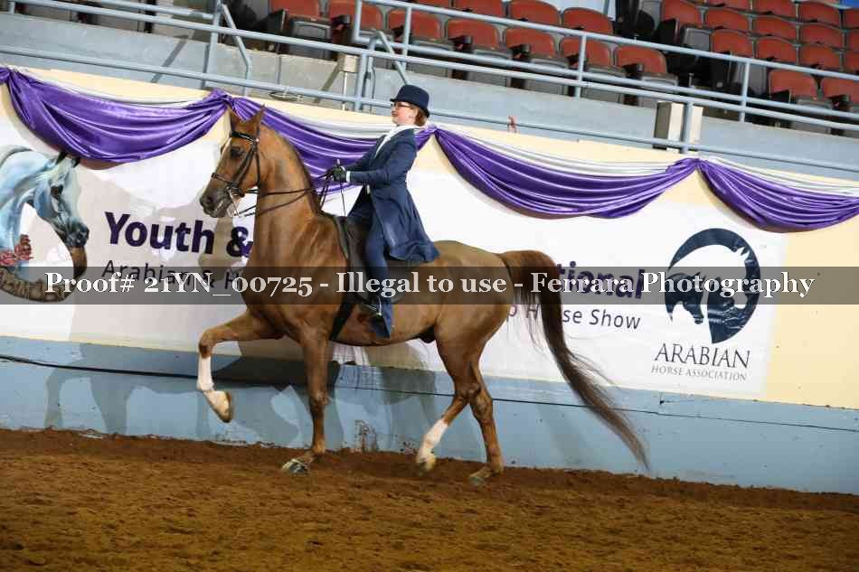 Proof 21YN_00725
