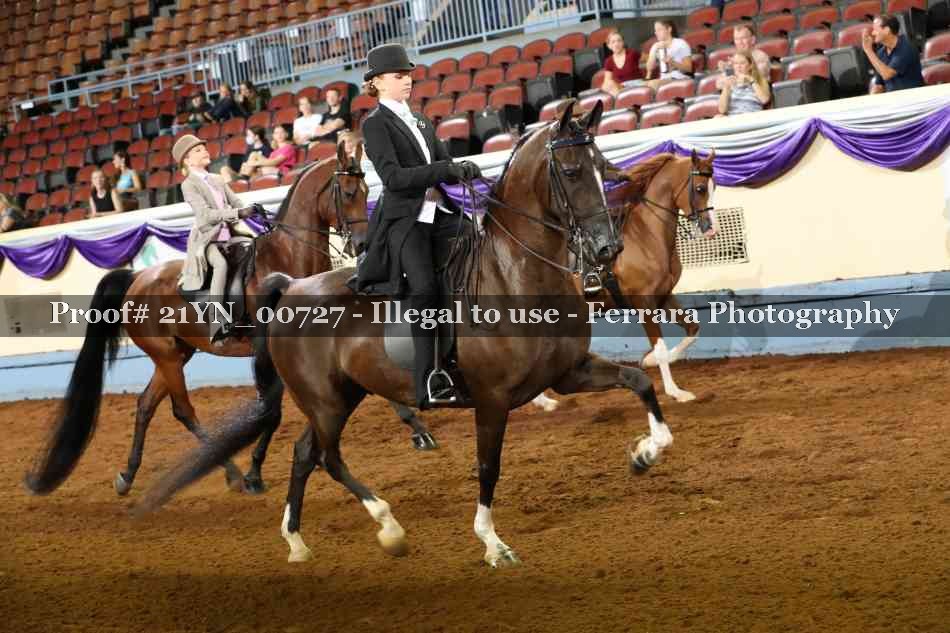 Proof 21YN_00727