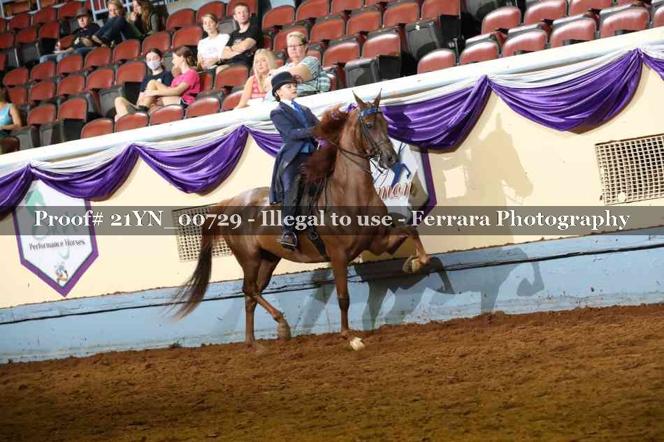 Proof 21YN_00729