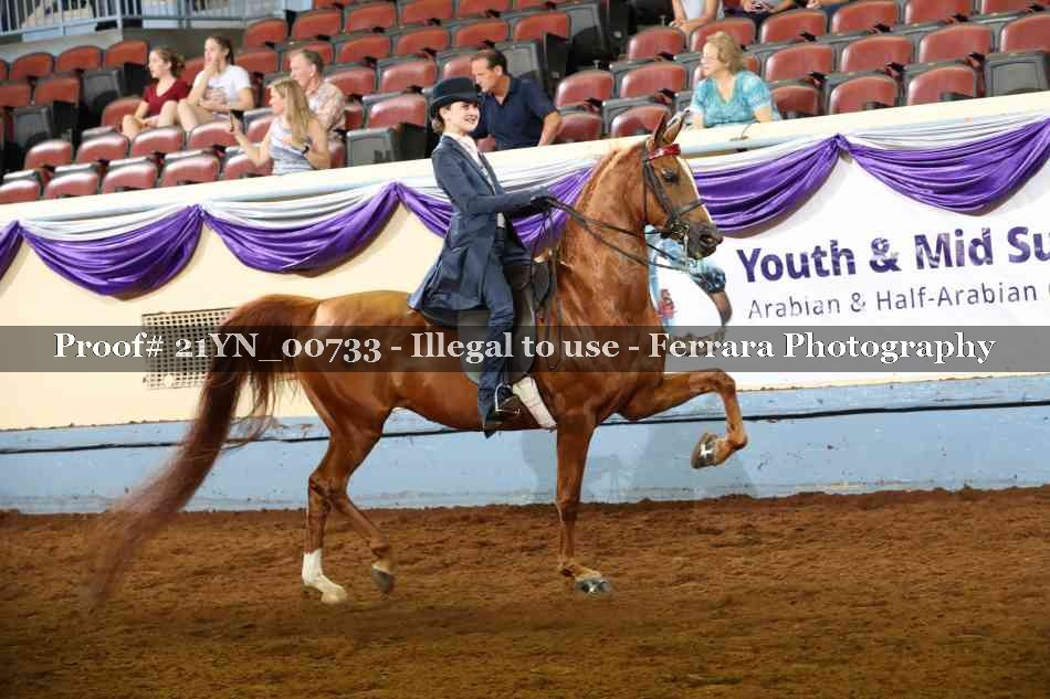 Proof 21YN_00733