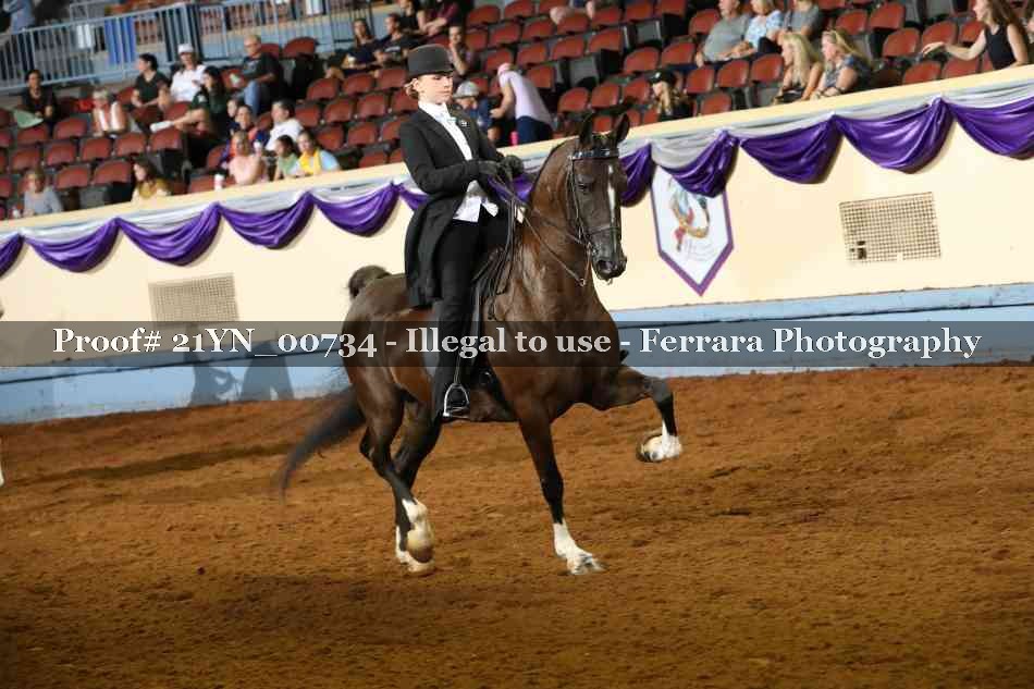 Proof 21YN_00734