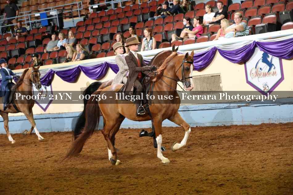 Proof 21YN_00736