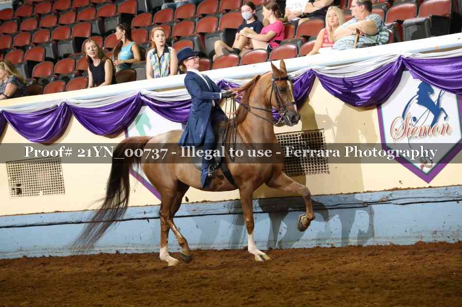 Proof 21YN_00737