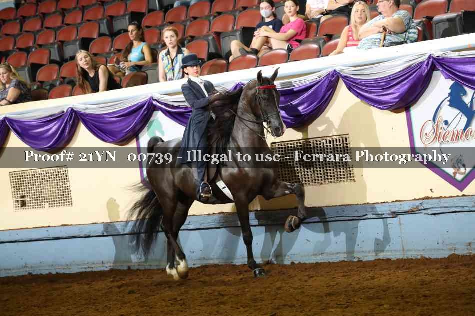 Proof 21YN_00739