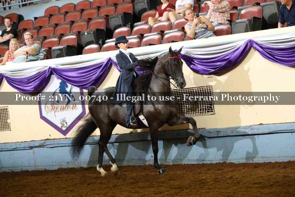 Proof 21YN_00740