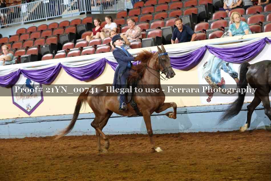 Proof 21YN_00741